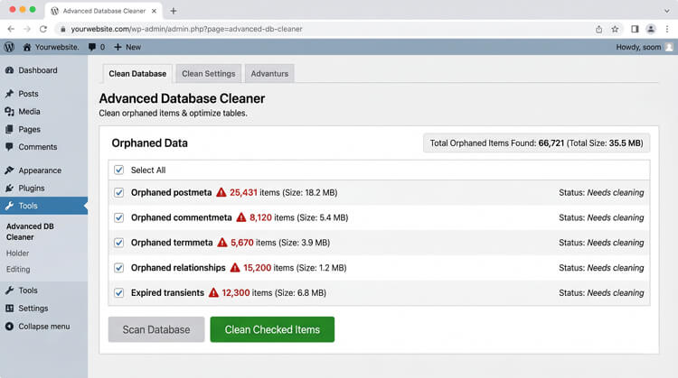 Database optimization tool displaying a large amount of orphaned data and expired transients ready to be safely deleted from the wp_options table to speed up backend queries.